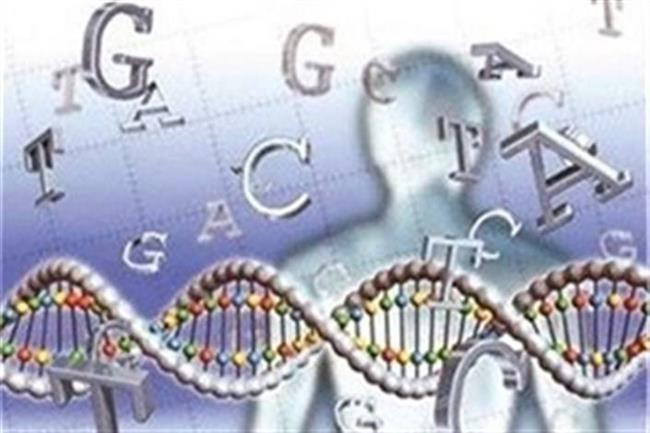 عملکرد بانک هویت ژنتیک ایران / از 40 هزار نمونه بیولوژیک مجرمان در بانک ژنتیک تا تسریع در حل پرونده‌های قضایی و جنایی / 89 عنوان مجرمانه در بانک ژنتیک تعیین شد