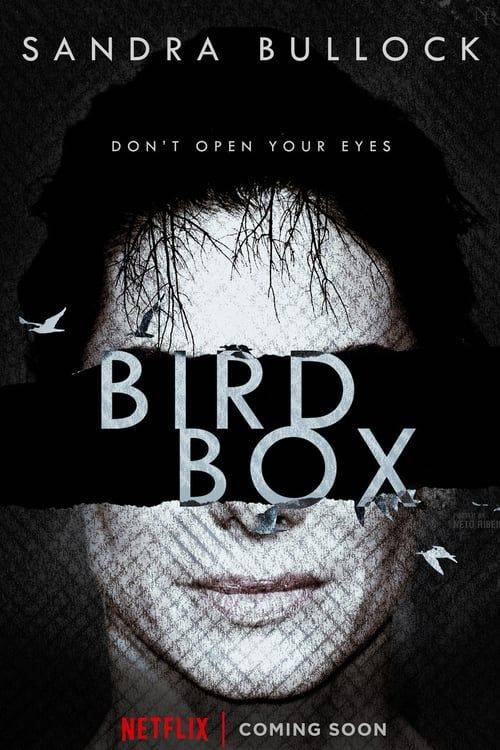 بررسی فیلم bird box