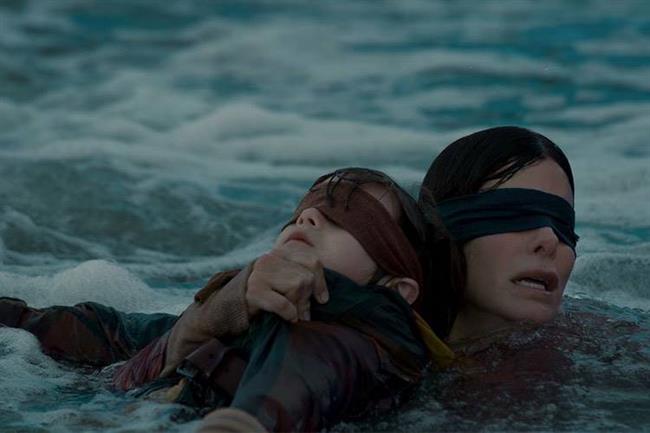 بررسی فیلم bird box