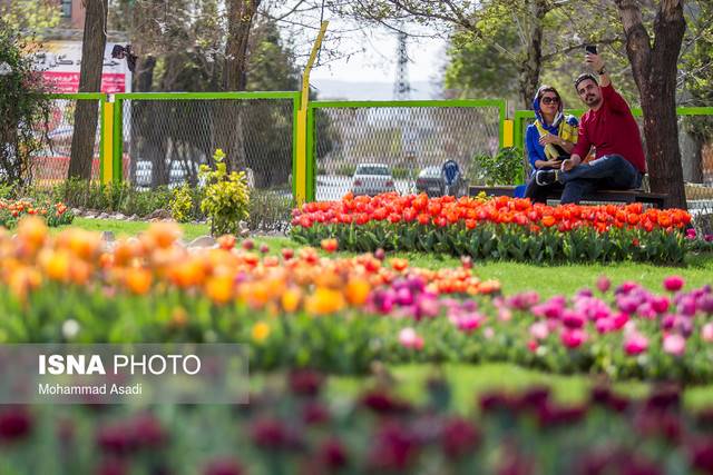 تمهیدات سازمان زیباسازی شهرداری تهران برای نوروز 98