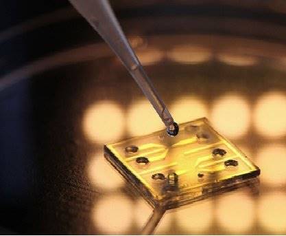 ساخت نانوحسگرهای بومی برای تشخیص گاز متان