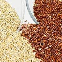 آشنایی با دانه کینوا یا خاویار گیاهی و خواص آن