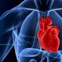 7عامل خطر بروز بیماری‌های قلبی/ مردان جوان مراقب باشند
