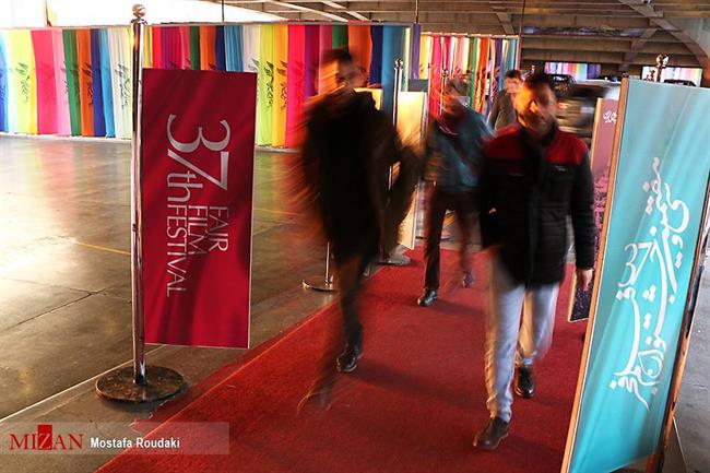 پالتو شتری بازنده اصلی روز هفتم جشنواره/وقتی آزادگان برای خبرنگاران از سلبریتی‌ها جذاب‌ترند