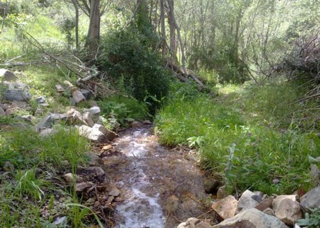 روستای آستمال روستای آستمال