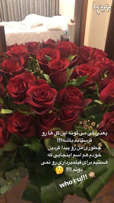 چهرهها در شبکههای اجتماعی؛ از ولنتاین تا تولد شهریارفوتبال چهرهها در شبکههای اجتماعی؛ از ولنتاین تا تولد شهریارفوتبال