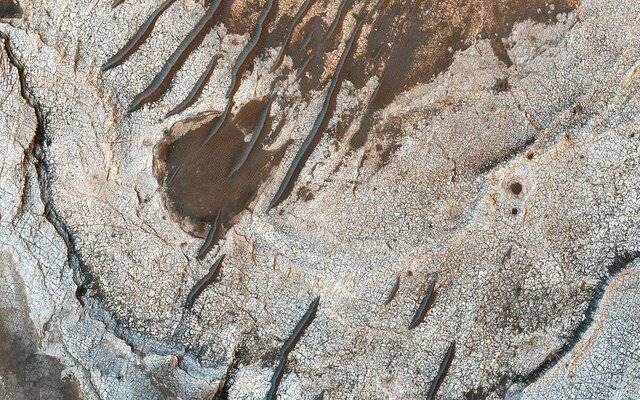 "کرم‌های" بیابان مریخ را ببینید+عکس