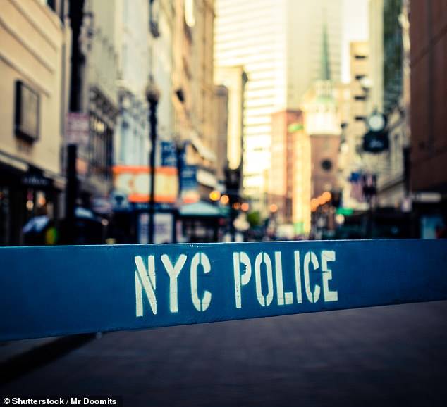 گزارش پلیس نیویورک از افزایش شدید قتل و تجاوز جنسی دراین شهر طی سال 2019