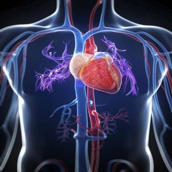 راه های کاهش ریسک ابتلا به بیماری قلبی