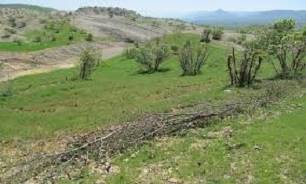  عزم جدی دستگاه قضایی در برخورد با متجاوزان به منابع طبیعی/ کاهش حجم تعرضات به منابع ملی با شکل گیری شورای حفظ بیت المال