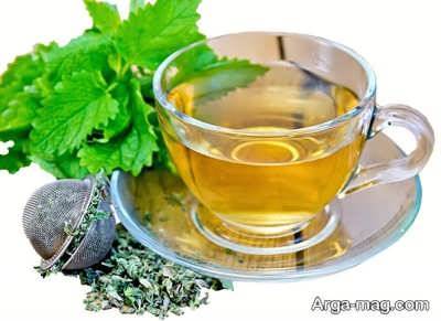 خواص بادرنجبویه