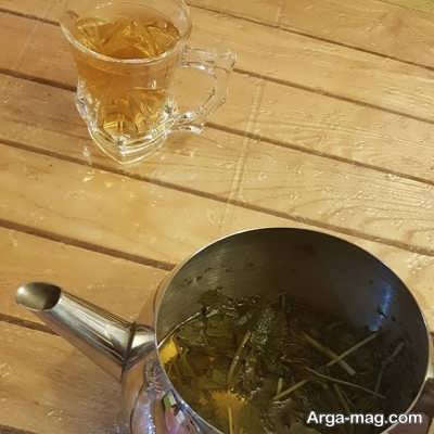 چای بادرنجبویه