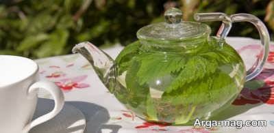 فواید بادرنجبویه