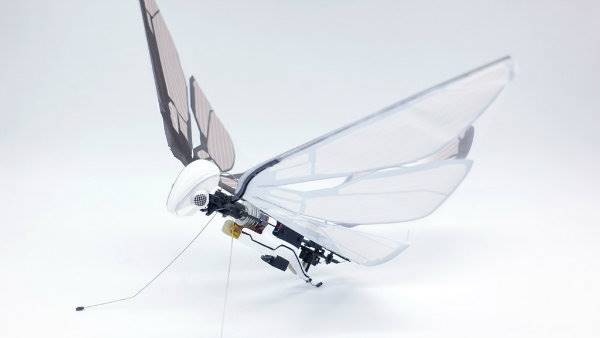 metafly-flying-model-insect (5)