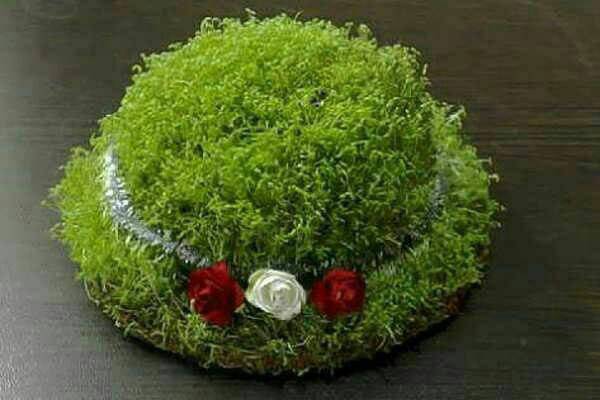 مدل سبزه عید 98 زیبا