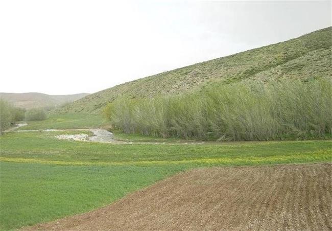 جلوگیری از تصرفات افراد سودجو به اراضی ملی/ برخورد قاطع با متخلفین در اقتصاد کشور