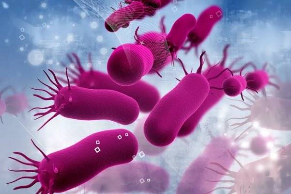 تمیزی بیش از حد منجر به مقاومت آنتی بیوتیکی می شود
