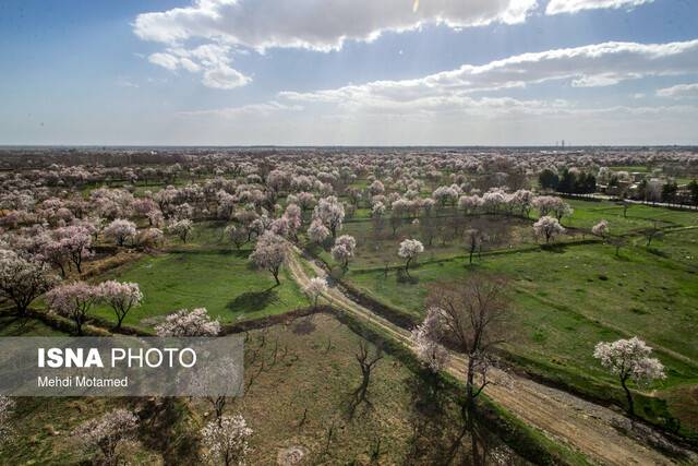 هشدار مدیرکل مدیریت بحران استان قزوین:
58 روستای قزوین در معرض سیل قرار دارند