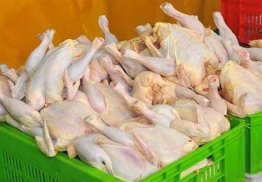 قیمت گوشت و مرغ در بازارهای جهانی چند؟