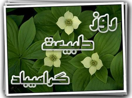 عکس نوشته سیزده بدر 98