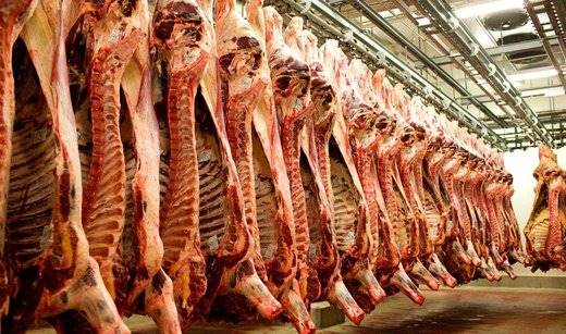 ارزانی گوشت قرمز در راه است