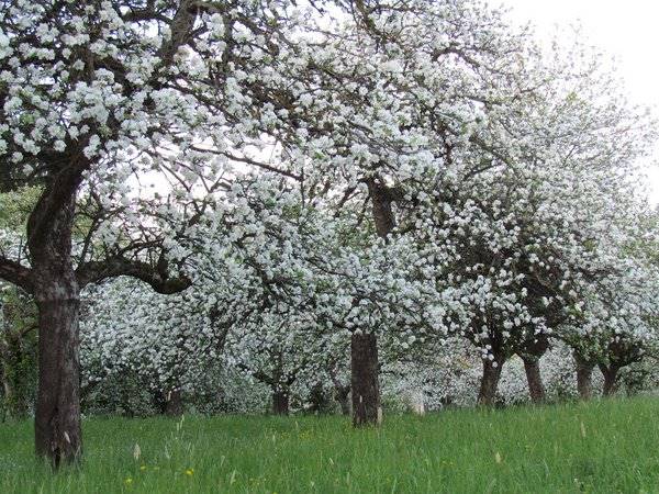 10 جای دیدنی مشهد در تابستان 10 جای دیدنی مشهد در تابستان