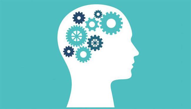 قسمت اول- مکمل‌های افزایش قدرت مغز؛ آیا مکمل‌های تقویت حافظه واقعا موثرند؟