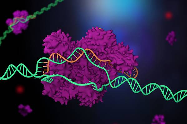 استفاده از روش دستکاری ژنتیکی کریسپر برای نخستین بار روی انسان