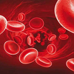 رقیق کننده خون چیست و نحوه ی عملکرد آن چگونه است؟