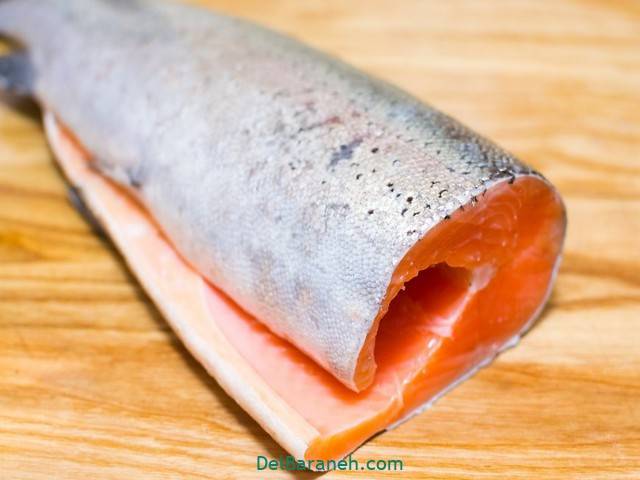 پاک کردن ماهی سالمون (1)
