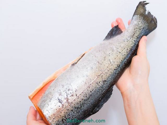 پاک کردن ماهی سالمون (3)