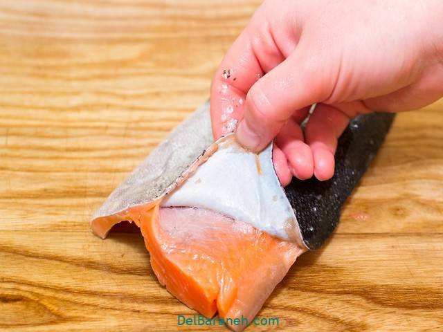 پاک کردن ماهی سالمون (4)