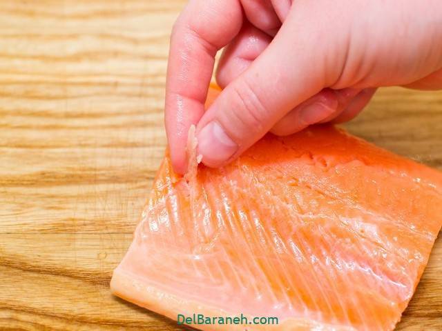 پاک کردن ماهی سالمون (5)