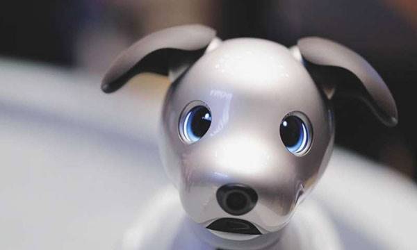 بررسی ویدیوی سگ ربات سونی؛ با آیبو دوست داشتنی آشنا شوید