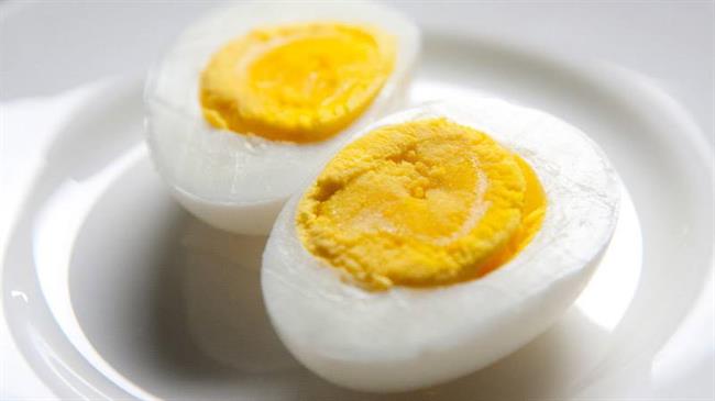 تخم مرغ - برای افزایش پلاکت خون چه بخوریم؟