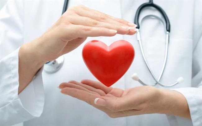 خواص پیازچه - 4. افزایش سلامت قلب