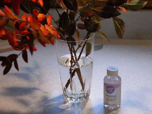 7 روش پر کاربرد برای خشک کردن گل طبیعی
