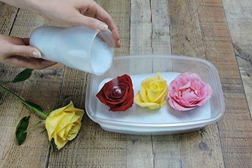 7 روش پر کاربرد برای خشک کردن گل طبیعی