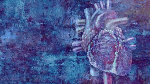 دانشمندان راهی برای بازسازی بافت قلب با استفاده از سلول‌های بنیادی پیدا کردند