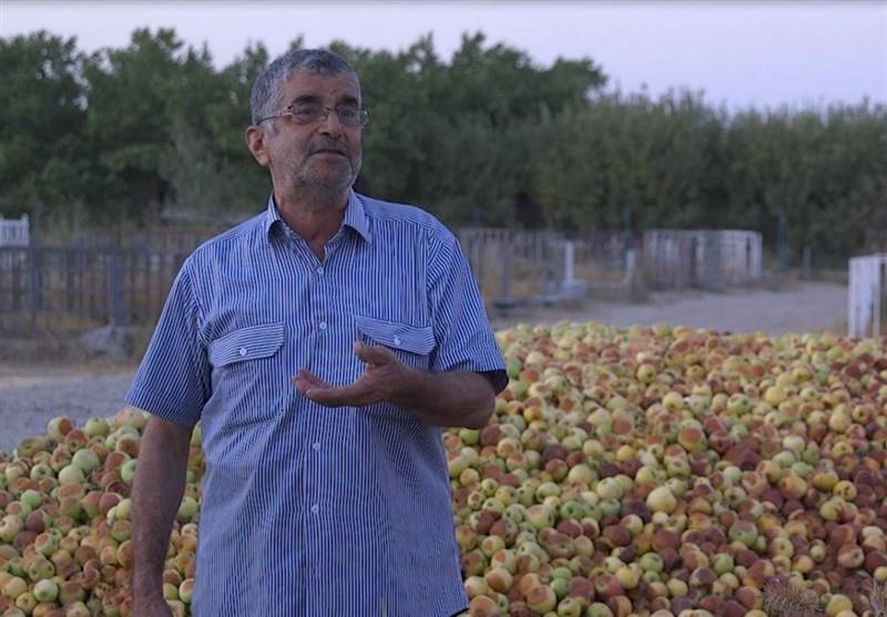 روایت میوه‌های روی درخت از مشکلات کشاورزی