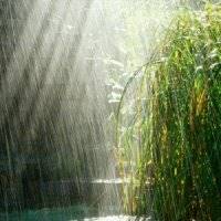 بارش باران در راه 14 استان کشور