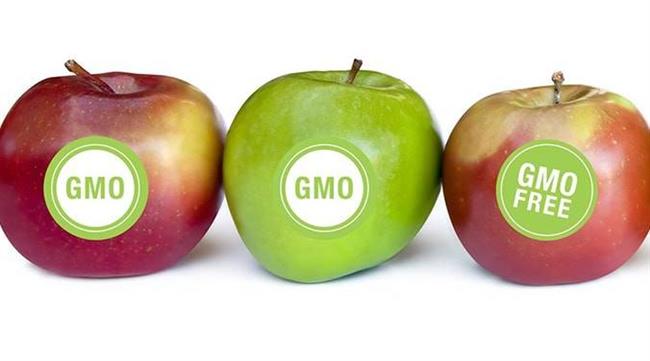 اصلاح ژنتیکی - معنی برچسب روی میوه ها