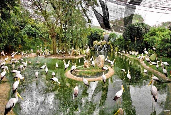 باغ پرندگان در مالزی