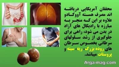  بهترین خواص هسته آووکادو