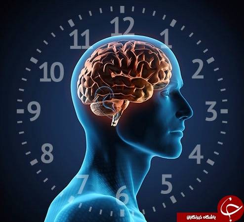 پشت پرده ارتباط ساعت بیولوژیکی بدن و میزان طول عمر افراد/ آیا می‌توان زمان مرگ را حدس زد؟