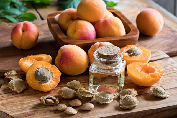 هسته زردآلو بخوریم یا نه؟ خواص روغن هسته زردآلو