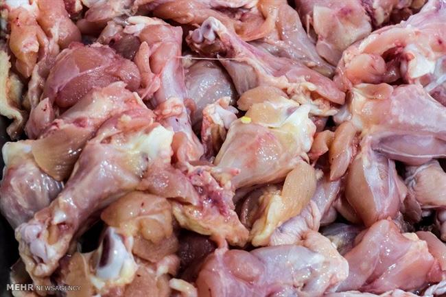 13 تن گوشت مرغ گرم غیر قابل مصرف در کهنوج معدوم شد/ افراد متخلف در بخش دولتی و خصوصی به دادسرا احضار می‌شوند