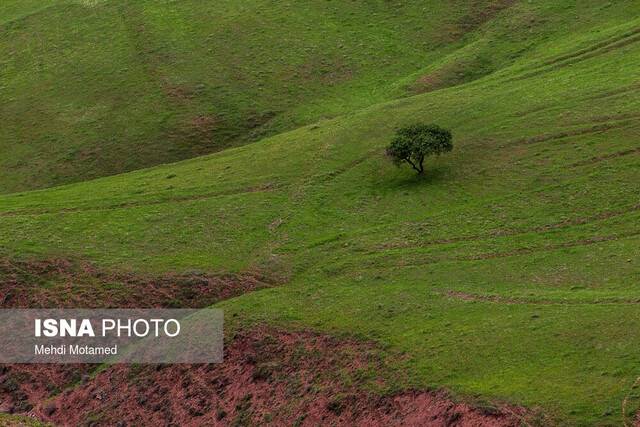 بارش و دمای ایران در بهاری که گذشت