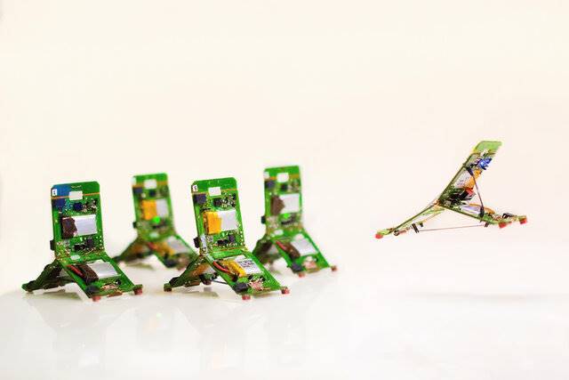 تقلید کار گروهی مورچه‌ها توسط ربات‌های ساخت سوئیسی‌ها و ژاپنی‌ها