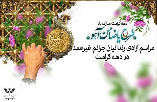 خادمان رضوی یاوران زندانیان غیرعمد شدند